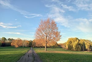 Herbst im Park Leipzig-Dösen (1)